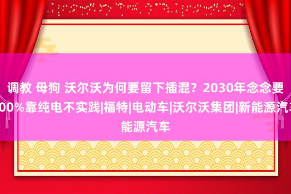 调教 母狗 沃尔沃为何要留下插混？2030年念念要100%靠纯电不实践|福特|电动车|沃尔沃集团|新能源汽车