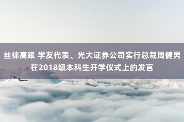 丝袜高跟 学友代表、光大证券公司实行总裁周健男在2018级本科生开学仪式上的发言