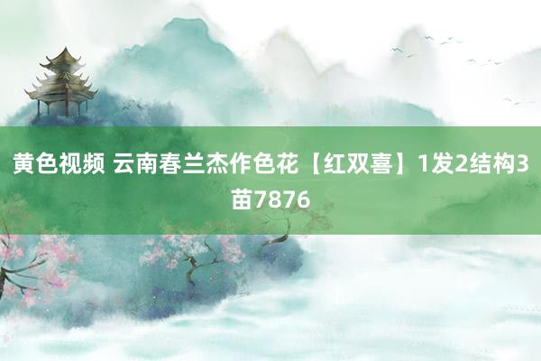 黄色视频 云南春兰杰作色花【红双喜】1发2结构3苗7876