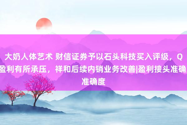 大奶人体艺术 财信证券予以石头科技买入评级，Q3盈利有所承压，祥和后续内销业务改善|盈利接头准确度