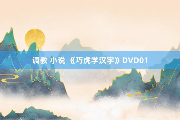 调教 小说 《巧虎学汉字》DVD01