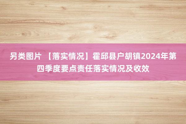 另类图片 【落实情况】霍邱县户胡镇2024年第四季度要点责任落实情况及收效